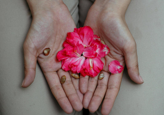 hand with flwoers and seeds in it promoting naturally balanced natural skincare