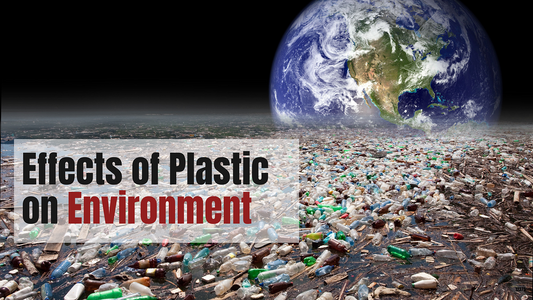effects of plastic on our environment