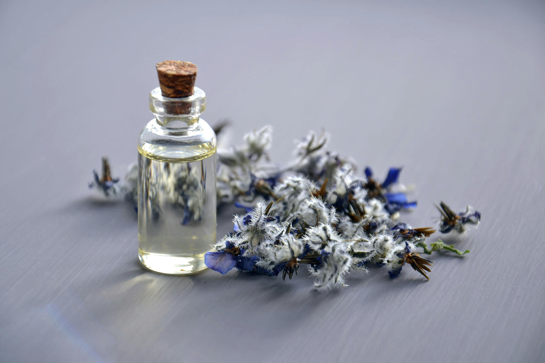 bottle of lavender essential oil with a lavender plant behind it 